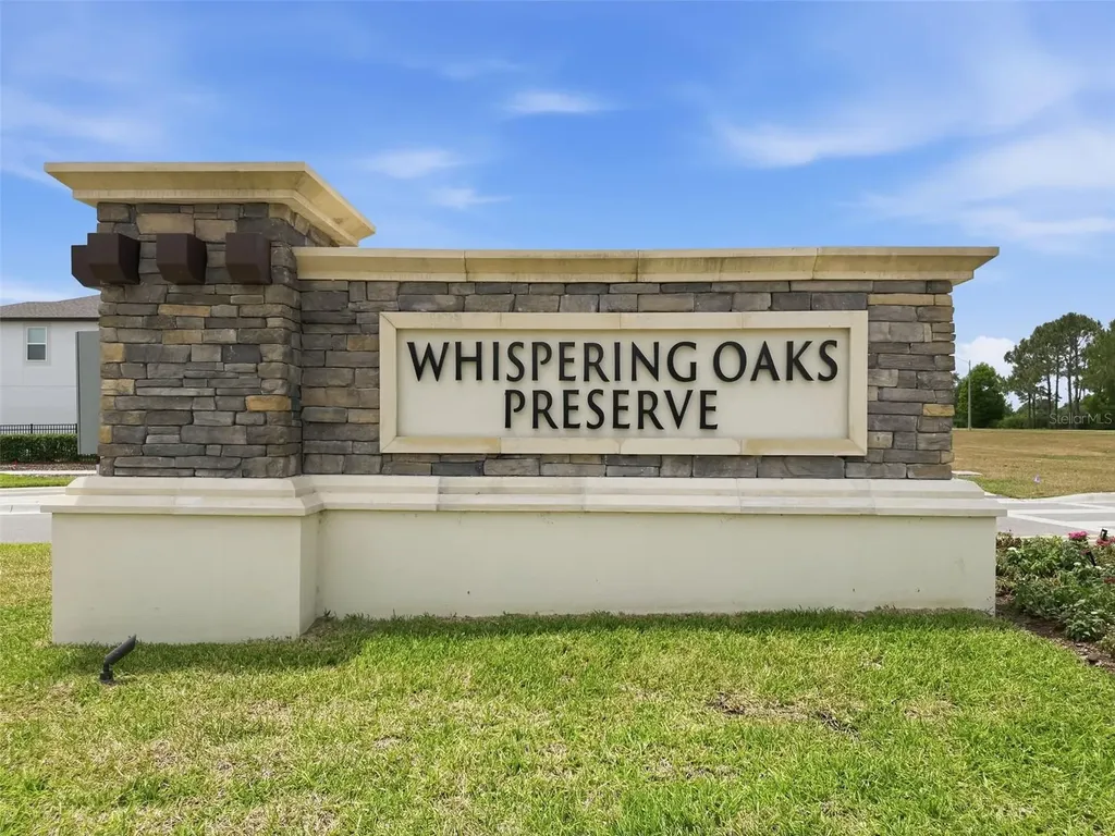 33163 Sycamore Leaf Drive Wesley Chapel FL 33545