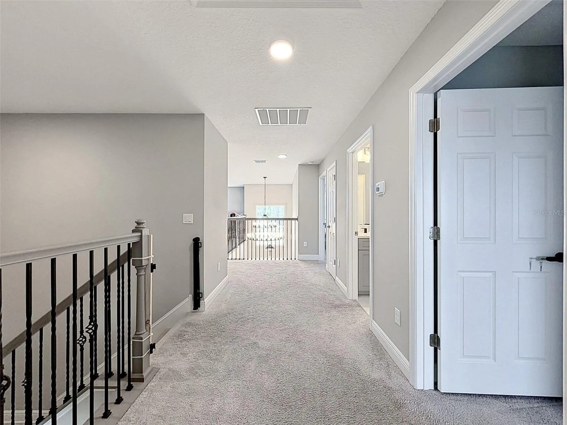 33163 Sycamore Leaf Drive Wesley Chapel FL 33545