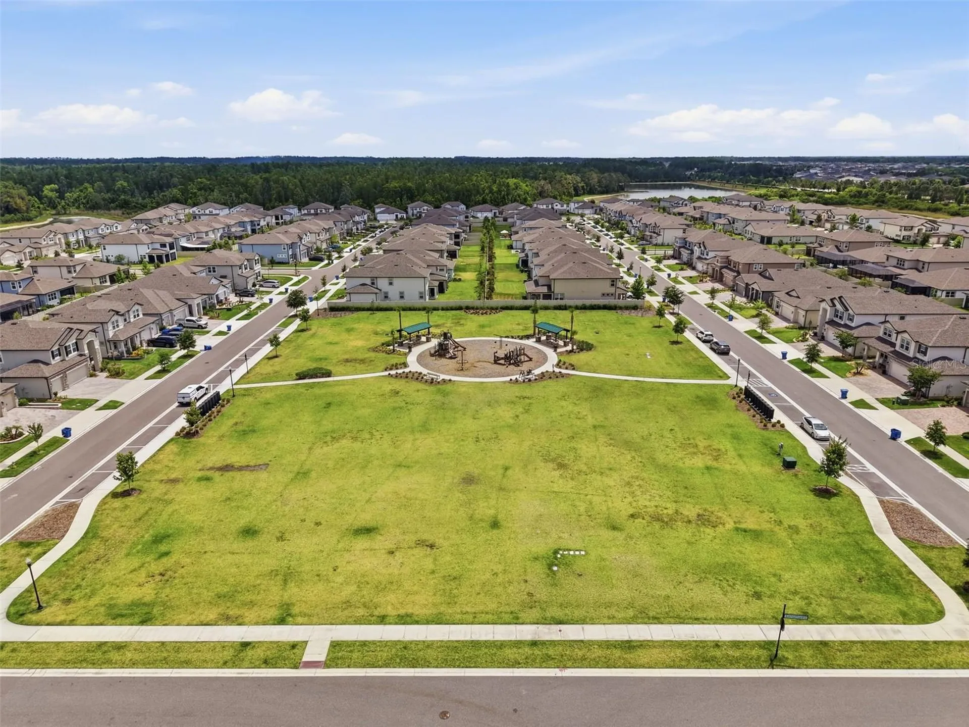 33163 Sycamore Leaf Drive Wesley Chapel FL 33545
