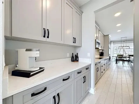 33163 Sycamore Leaf Drive Wesley Chapel FL 33545