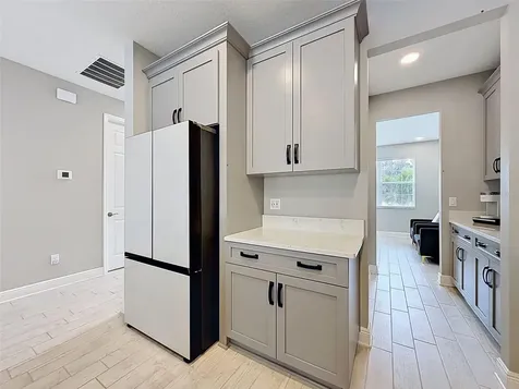 33163 Sycamore Leaf Drive Wesley Chapel FL 33545