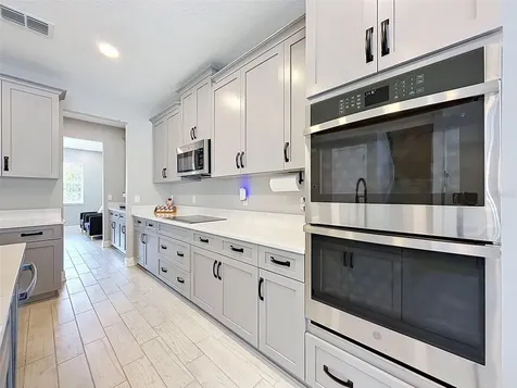 33163 Sycamore Leaf Drive Wesley Chapel FL 33545