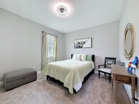 33163 Sycamore Leaf Drive Wesley Chapel FL 33545