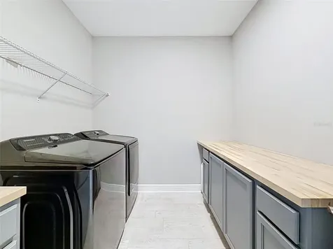33163 Sycamore Leaf Drive Wesley Chapel FL 33545