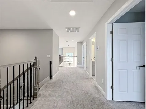 33163 Sycamore Leaf Drive Wesley Chapel FL 33545