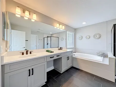 33163 Sycamore Leaf Drive Wesley Chapel FL 33545