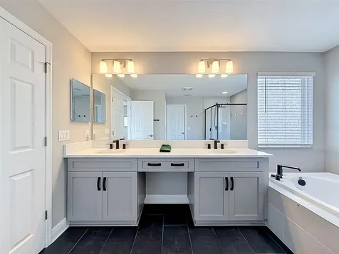 33163 Sycamore Leaf Drive Wesley Chapel FL 33545