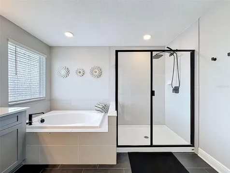 33163 Sycamore Leaf Drive Wesley Chapel FL 33545
