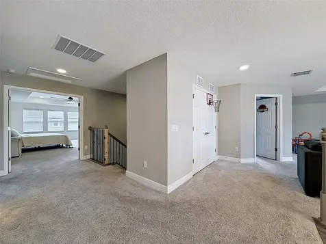 33163 Sycamore Leaf Drive Wesley Chapel FL 33545