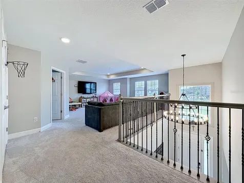 33163 Sycamore Leaf Drive Wesley Chapel FL 33545