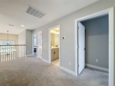 33163 Sycamore Leaf Drive Wesley Chapel FL 33545