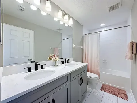 33163 Sycamore Leaf Drive Wesley Chapel FL 33545