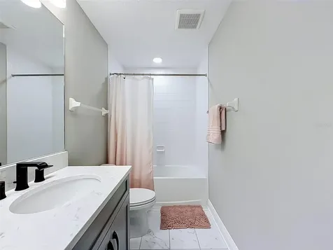 33163 Sycamore Leaf Drive Wesley Chapel FL 33545