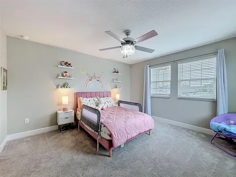 33163 Sycamore Leaf Drive Wesley Chapel FL 33545