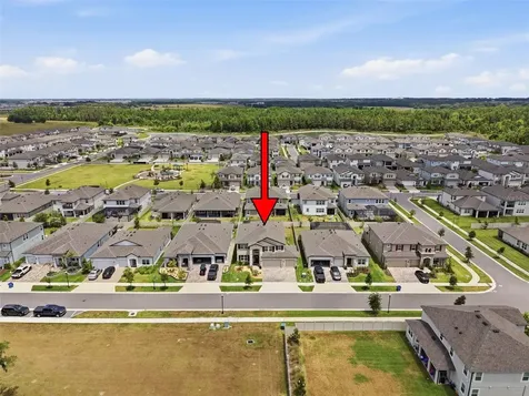 33163 Sycamore Leaf Drive Wesley Chapel FL 33545