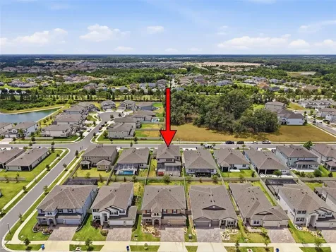33163 Sycamore Leaf Drive Wesley Chapel FL 33545
