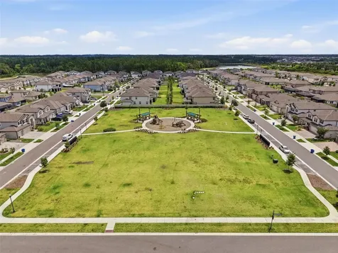 33163 Sycamore Leaf Drive Wesley Chapel FL 33545