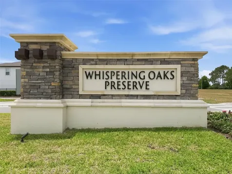 33163 Sycamore Leaf Drive Wesley Chapel FL 33545