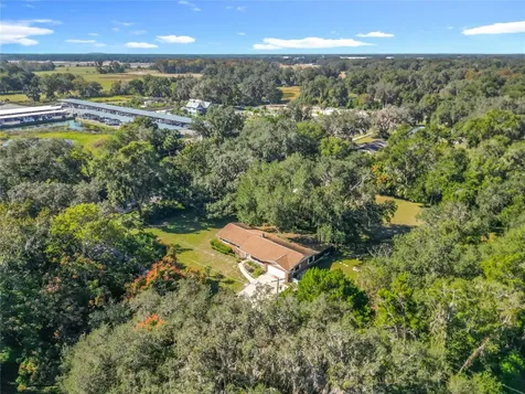 7802 Mizell Street Coleman FL 33521