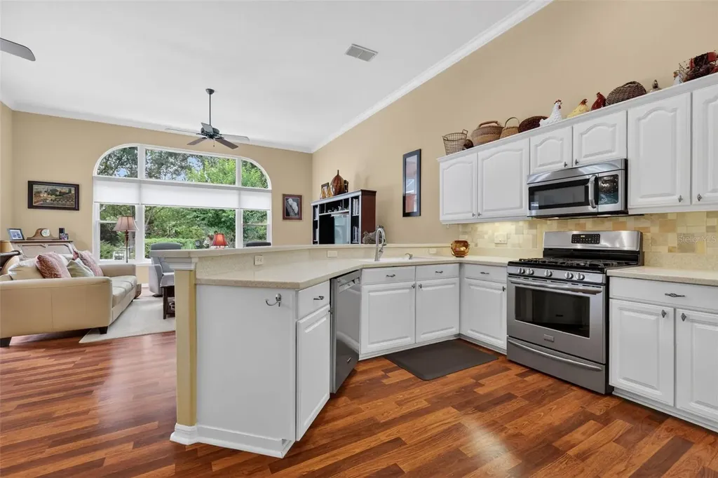 9035 Laurel Ridge Drive Mount Dora FL 32757
