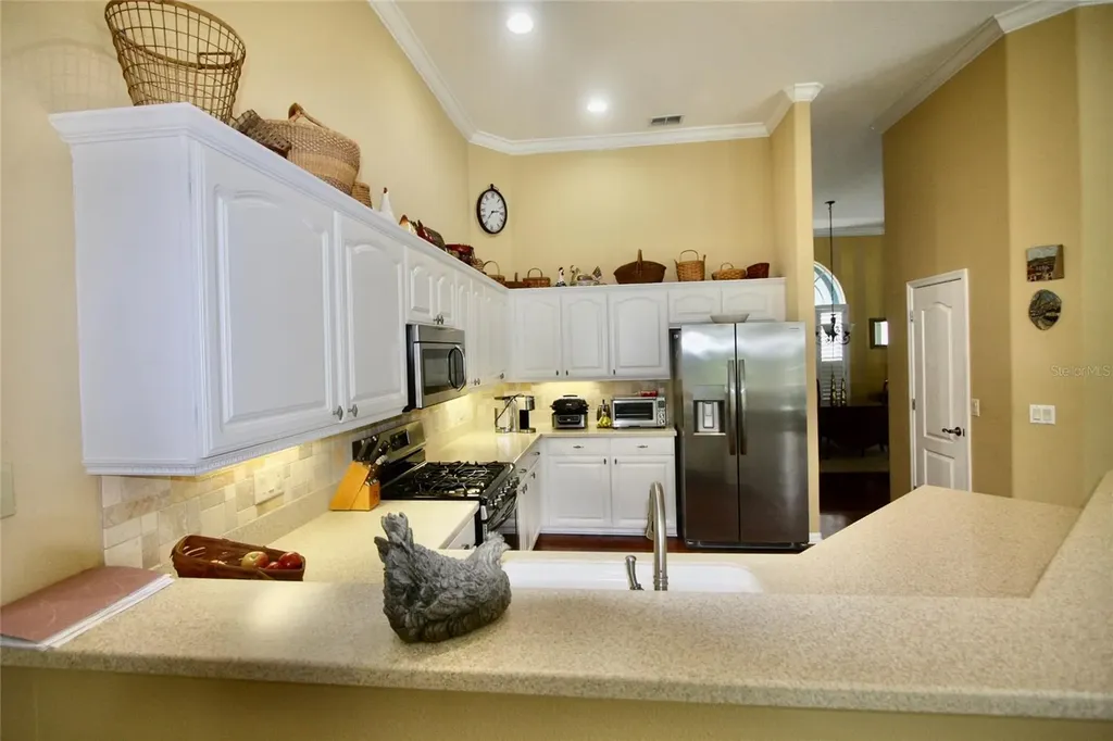9035 Laurel Ridge Drive Mount Dora FL 32757