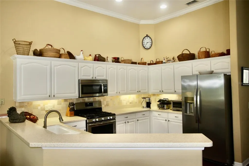 9035 Laurel Ridge Drive Mount Dora FL 32757