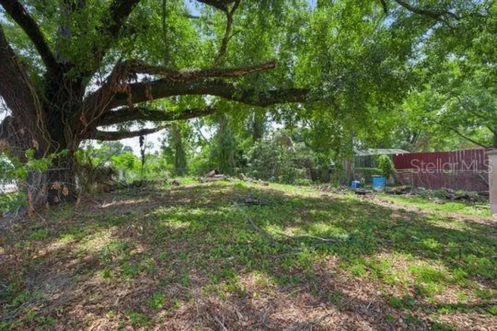 132 Pine Street Orlando FL 32824