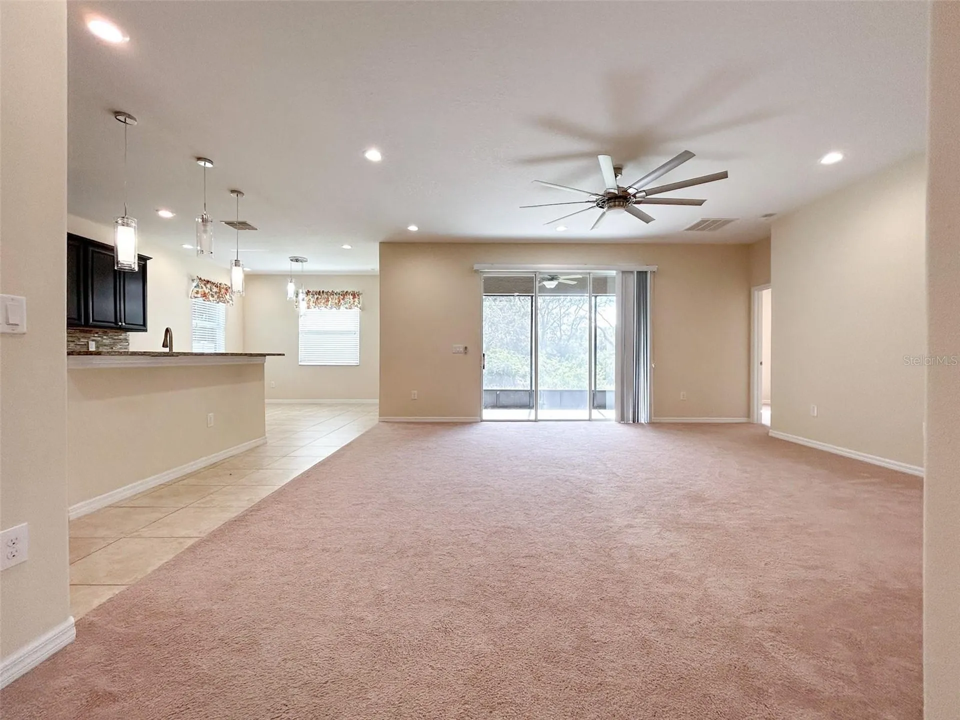 13814 Bee Tree Court Hudson FL 34669