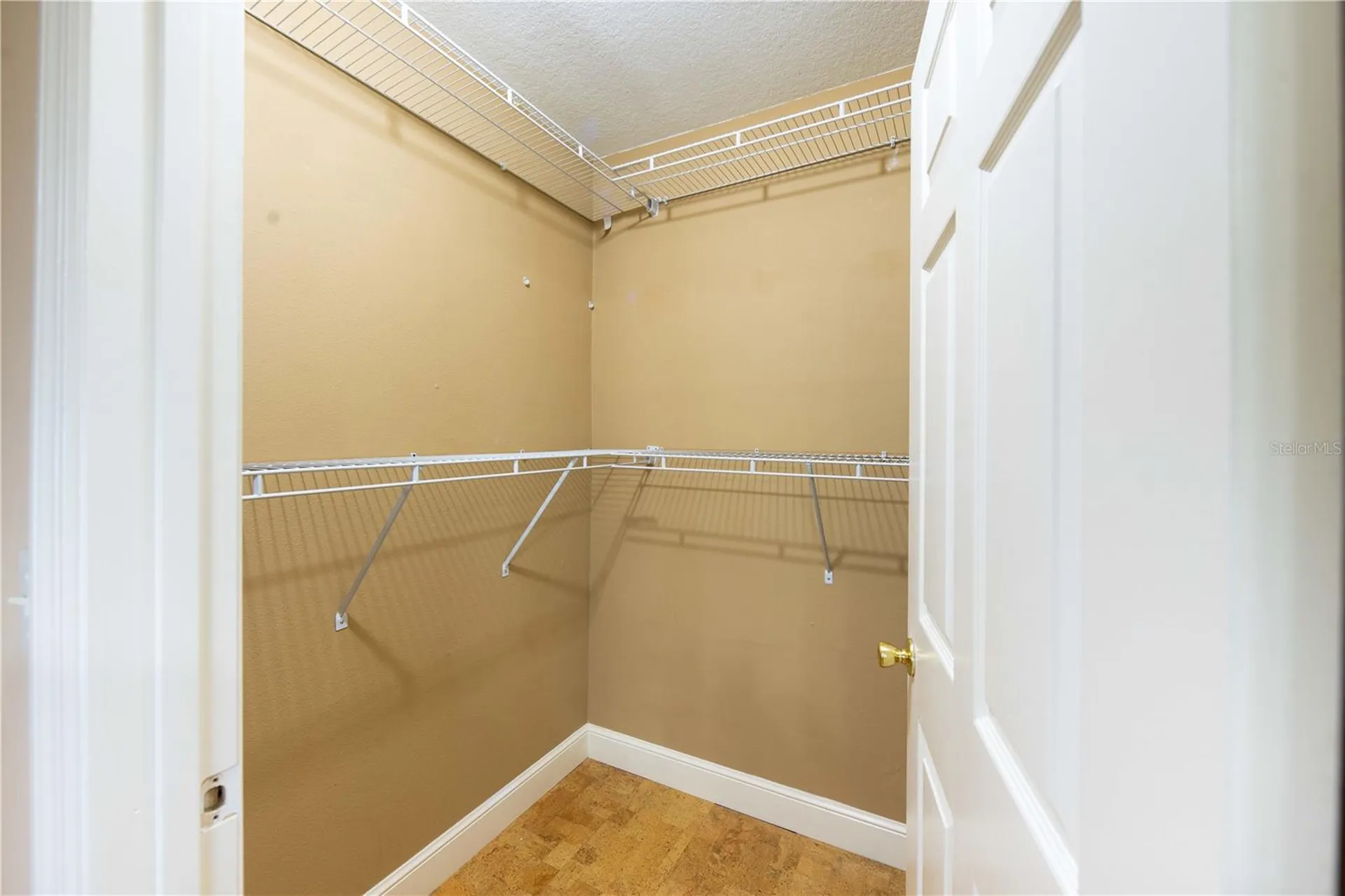 738 Crest Pines Drive Orlando FL 32828