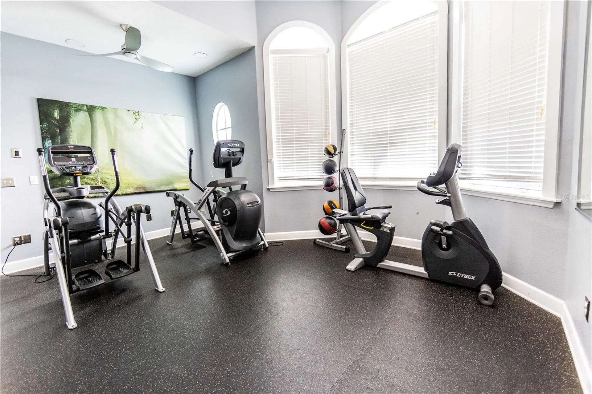 738 Crest Pines Drive Orlando FL 32828