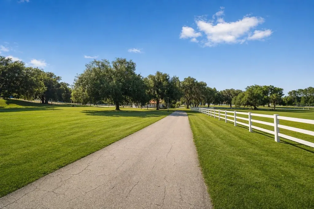 22620 Highway 441 N Micanopy FL 32667