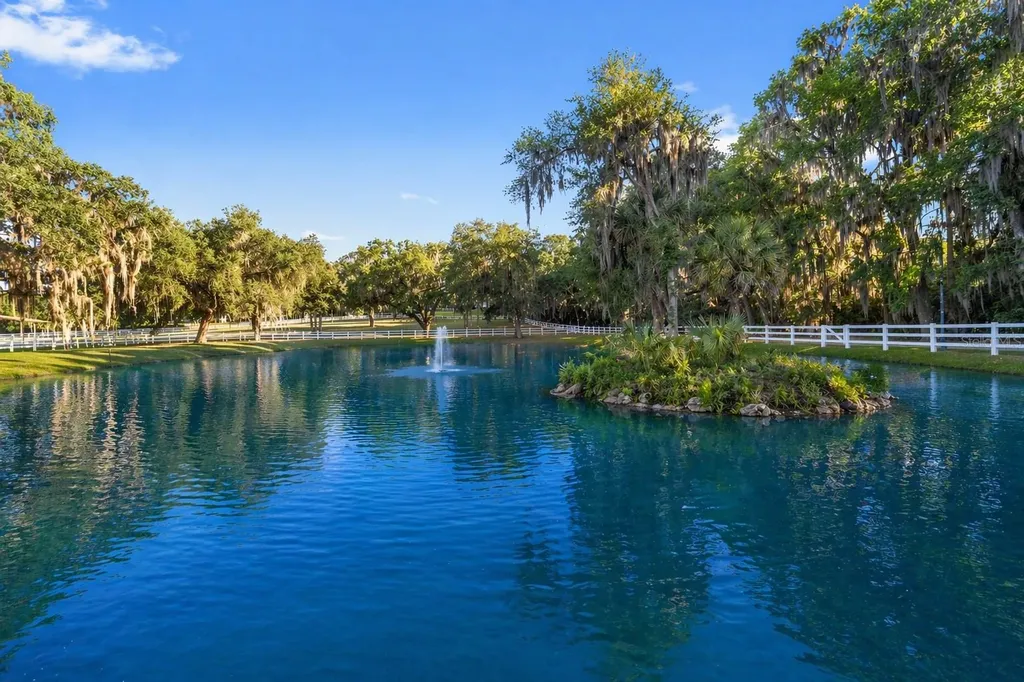 22620 Highway 441 N Micanopy FL 32667