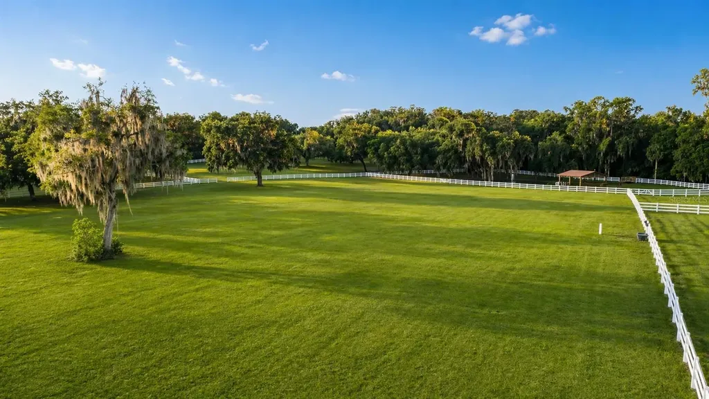 22620 Highway 441 N Micanopy FL 32667