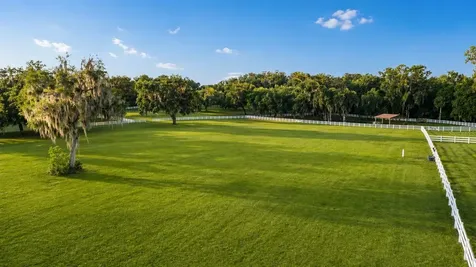 22620 Highway 441 N Micanopy FL 32667