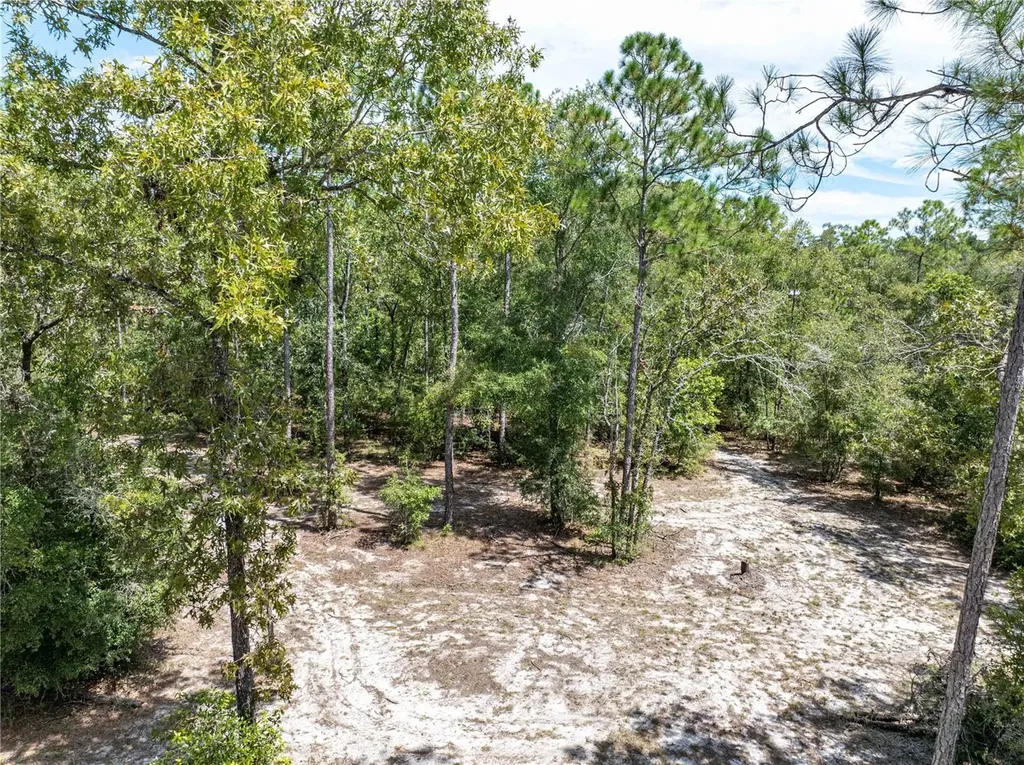 11160 NW 5th Avenue Branford FL 32008