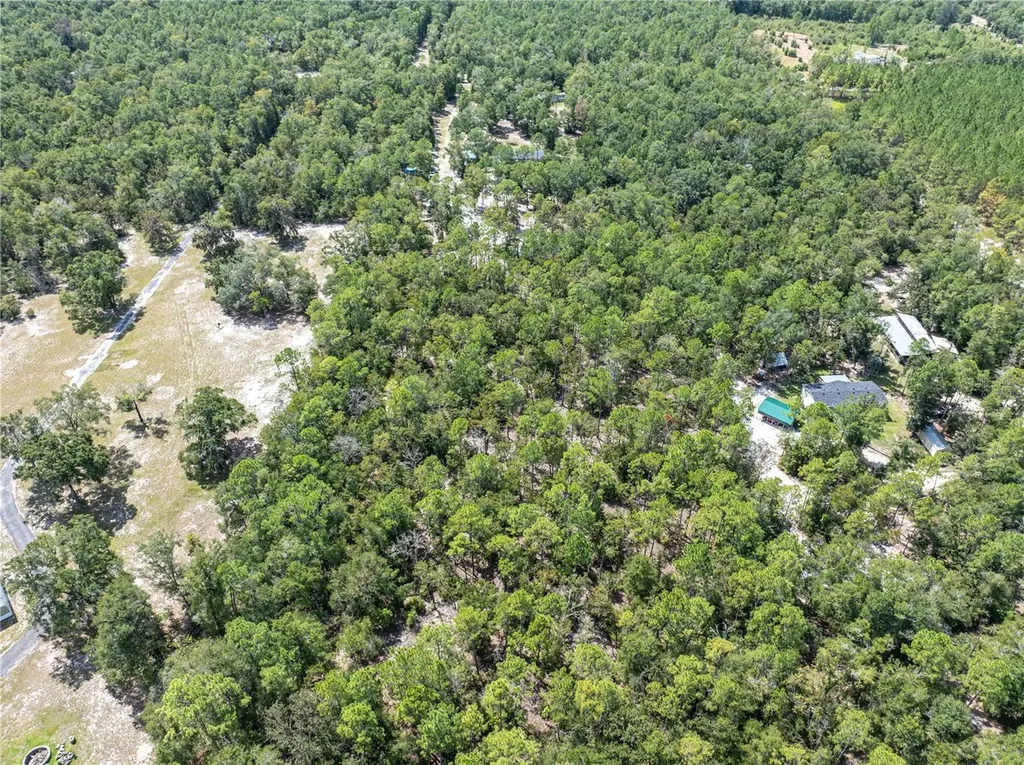 11160 NW 5th Avenue Branford FL 32008