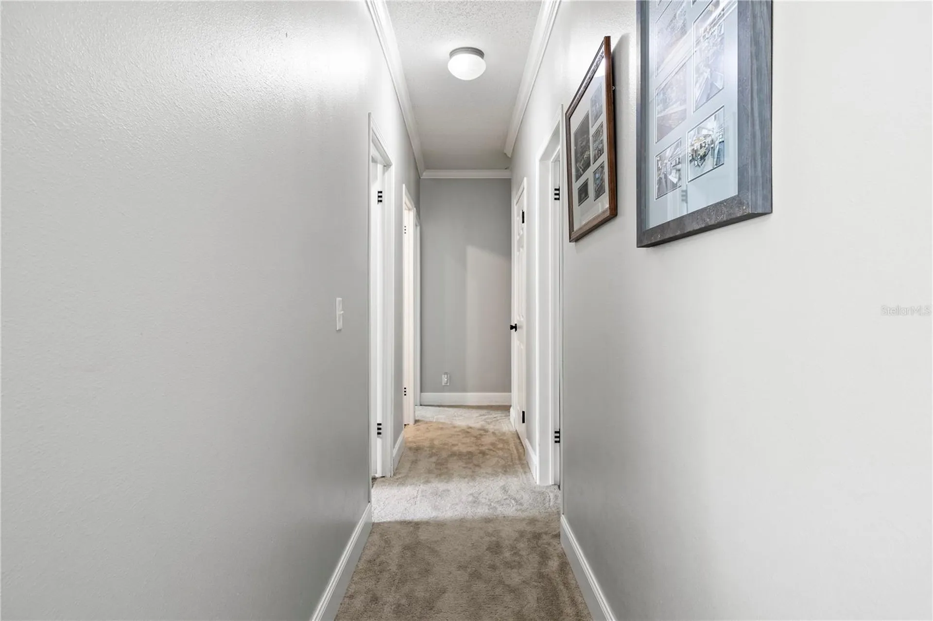 11160 NW 5th Avenue Branford FL 32008