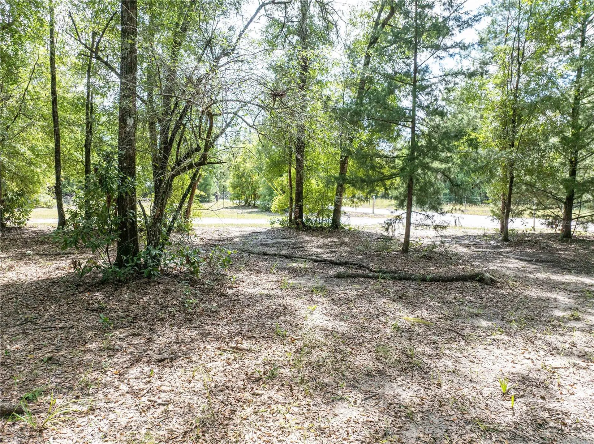 11160 NW 5th Avenue Branford FL 32008