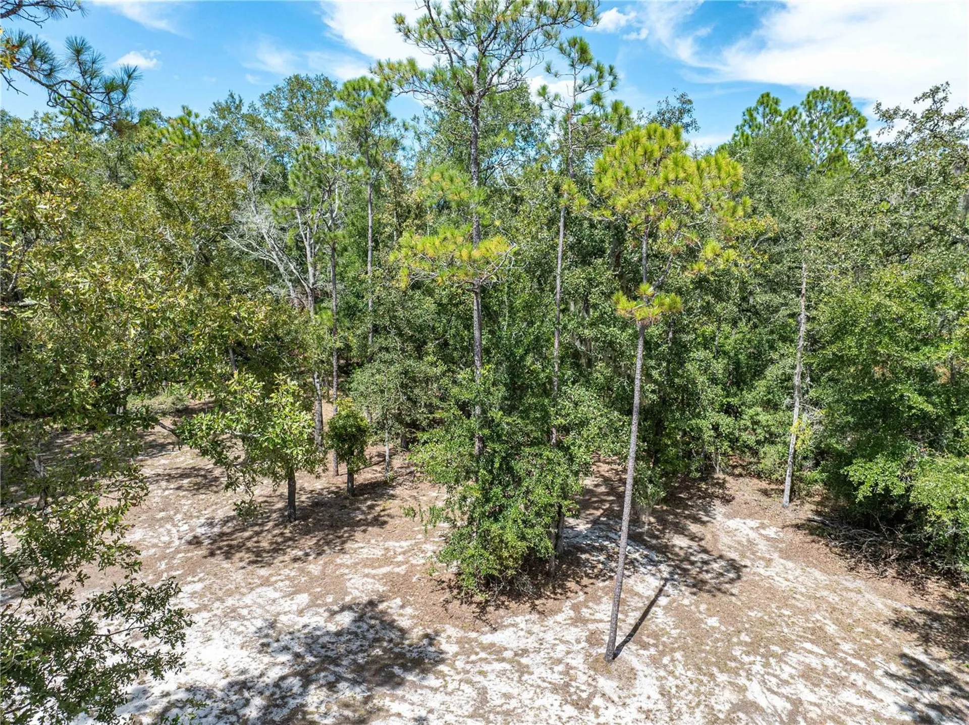 11160 NW 5th Avenue Branford FL 32008