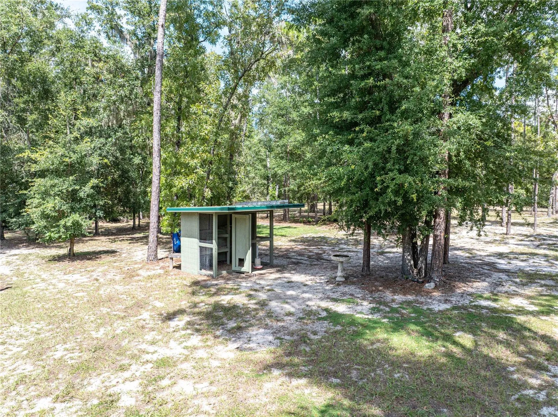 11160 NW 5th Avenue Branford FL 32008