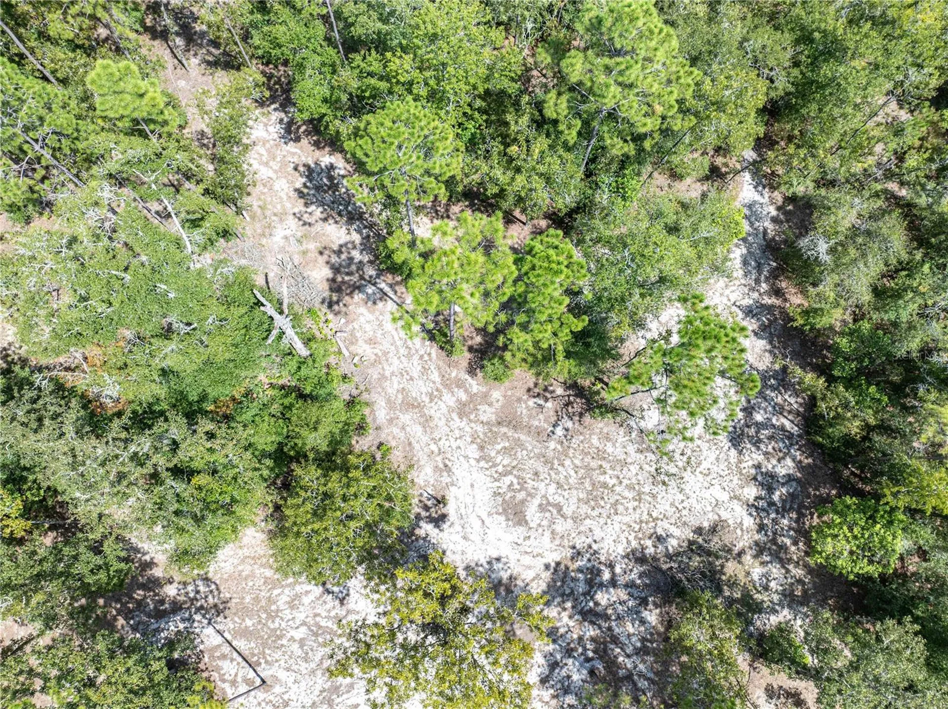 11160 NW 5th Avenue Branford FL 32008