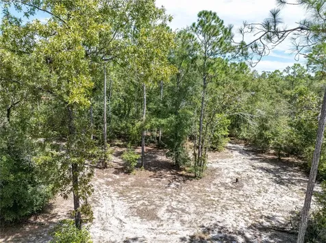 11160 NW 5th Avenue Branford FL 32008