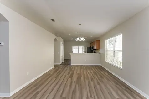 15411 Peach Stone Place Ruskin FL 33573