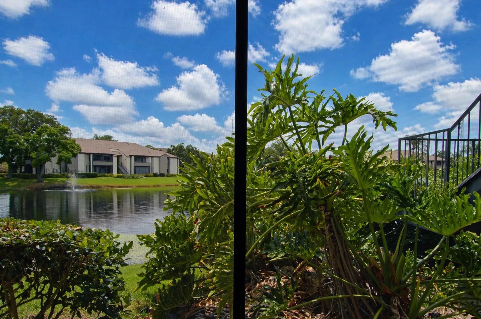 10265 Gandy Boulevard N St Petersburg FL 33702