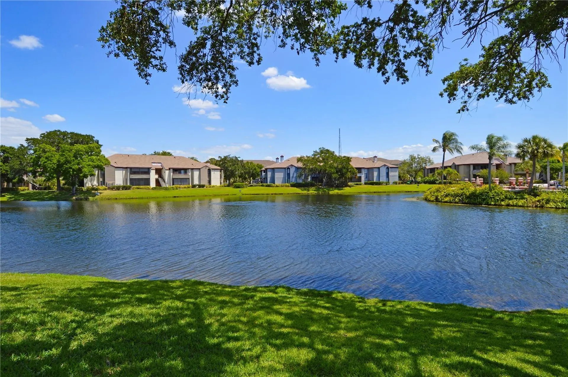 10265 Gandy Boulevard N St Petersburg FL 33702