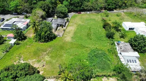 Bo Coto Norte, Sector Guayaney, Manati Manati PR 00674