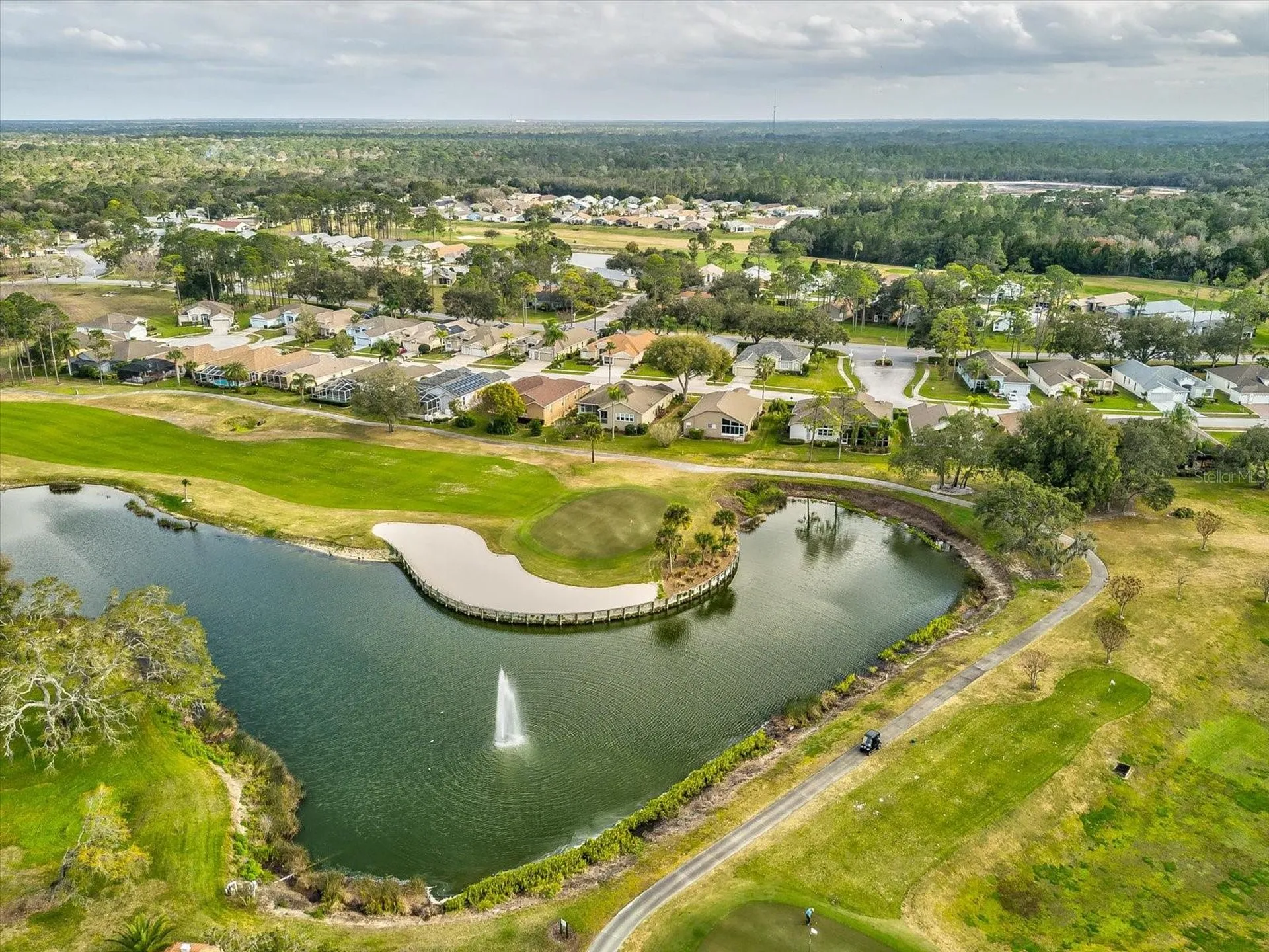 18018 Webster Grove Drive Hudson FL 34667