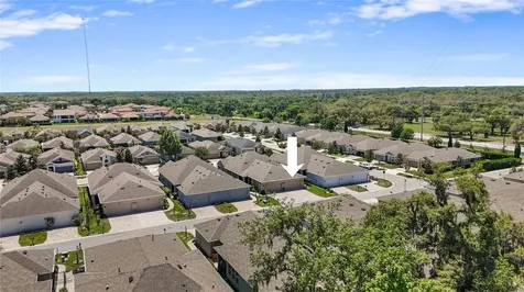 13890 Kingfisher Glen Drive Lithia FL 33547