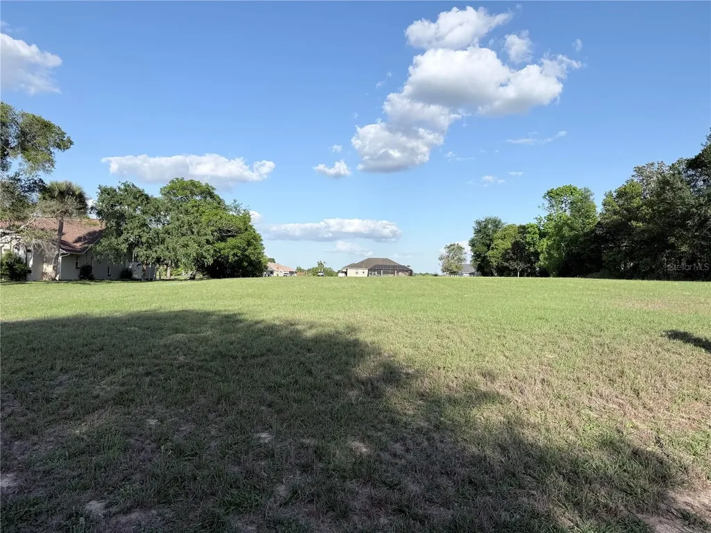 1471 N Man O War Drive Hernando FL 34442