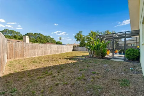 8930 Brooker Drive New Port Richey FL 34655